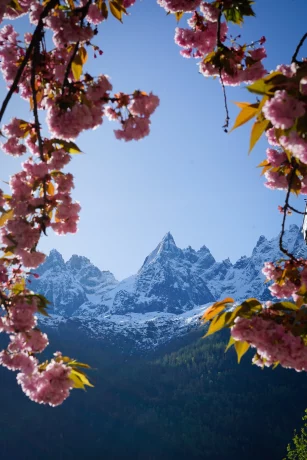 Hôtel Morgane, hôtel 4 étoiles à Chamonix